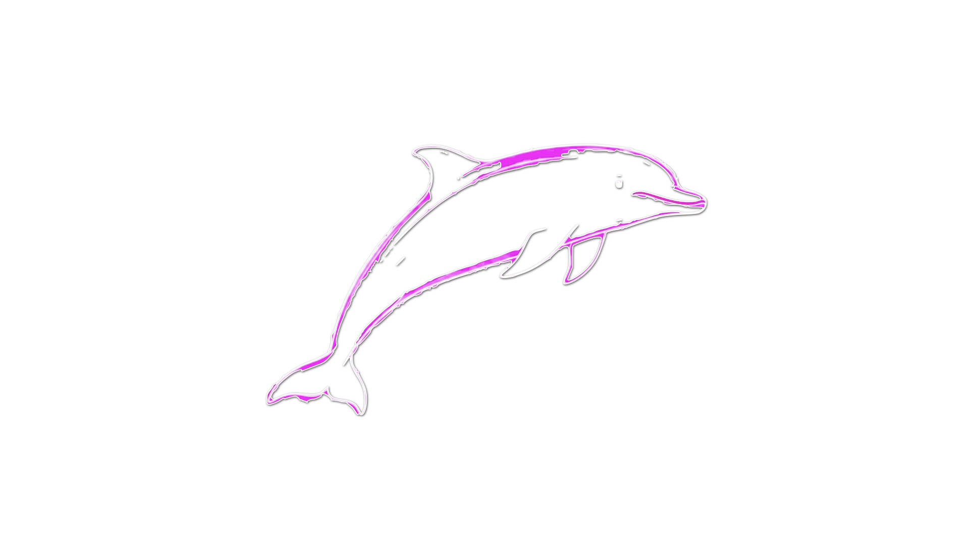 Dolphin Image